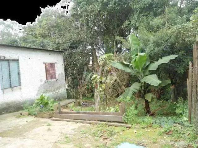 Terreno / Lote para Venda em Santo André/SP Vila Alzira