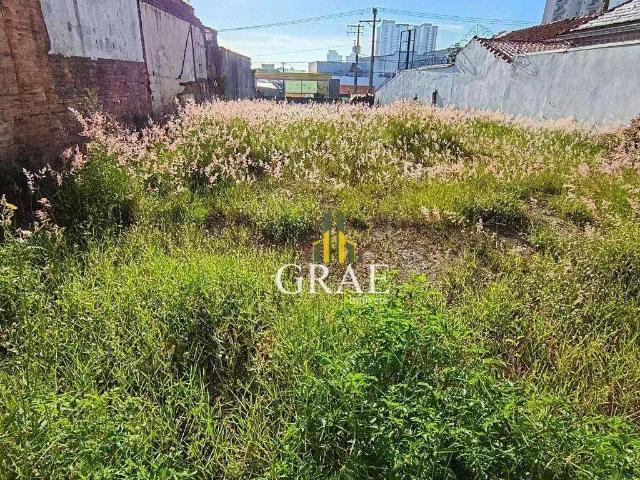 Terreno / Lote para Venda em Santo André/SP Vila Alzira