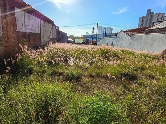 Terreno / Lote para Venda em Santo André/SP Vila Alzira
