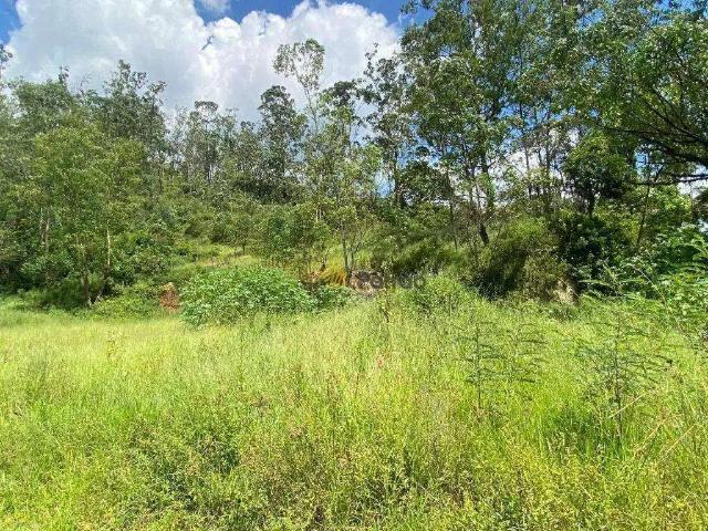 Terreno / Lote para Venda em Santo André/SP Vila Guarani