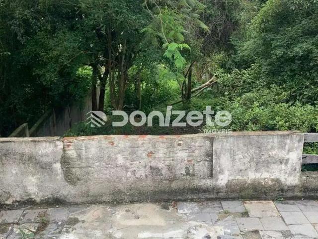 Terreno / Lote para Venda em Santo André/SP Vila Guiomar