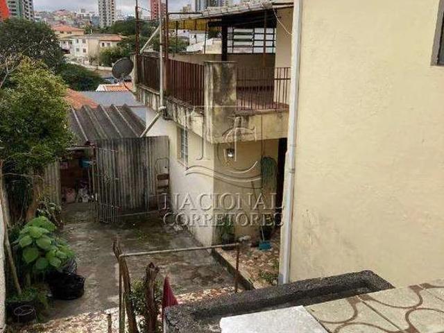 Terreno / Lote para Venda em Santo André/SP Vila Floresta 5 Quartos
