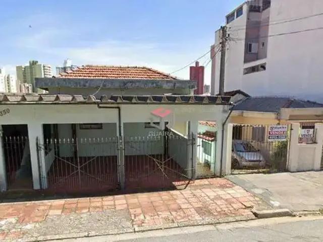Terreno / Lote para Venda em Santo André/SP Vila Floresta