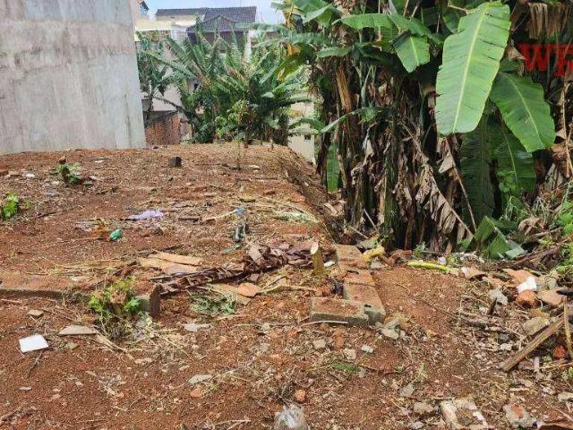 Terreno / Lote para Venda em Santo André/SP Vila Humaitá