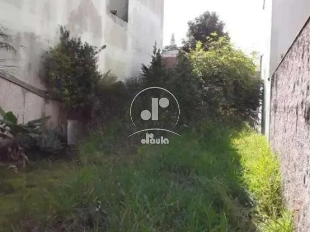 Terreno / Lote para Venda em Santo André/SP Vila Luzita