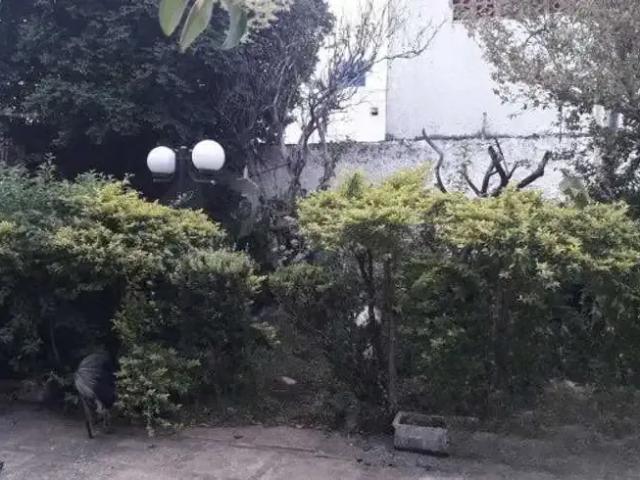 Terreno / Lote para Venda em Santo André/SP Vila Sacadura Cabral
