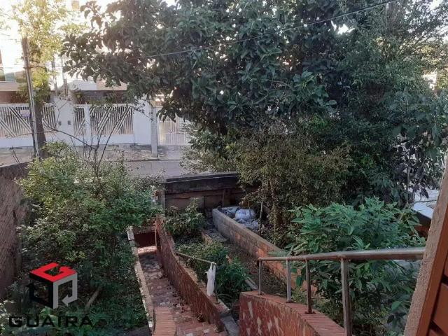 Terreno / Lote para Venda em Santo André/SP Vila Vitória