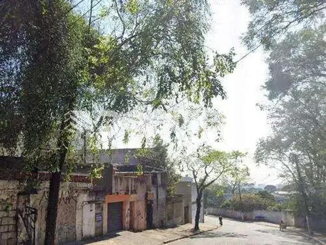 Terreno / Lote para Venda em Santo André/SP Vila Vitória