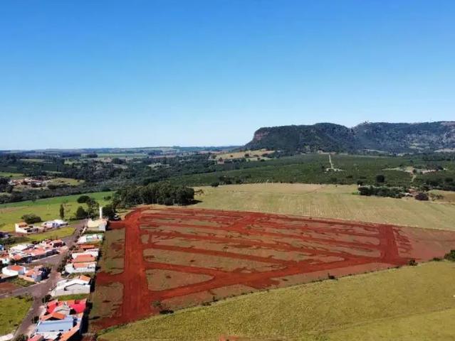 Terreno / Lote para Venda em Santo Antônio da Alegria/SP Barra da Serra
