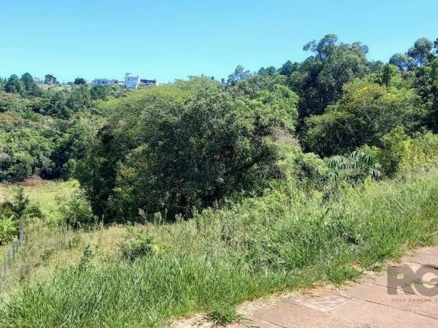 Terreno / Lote para Venda em Santo Antônio da Patrulha/RS Cidade Alta