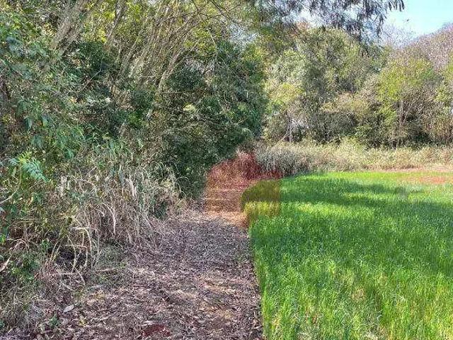 Terreno / Lote para Venda em Santo Antônio da Platina/PR Centro