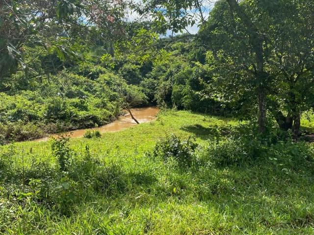Terreno / Lote para Venda em Santo Antônio de Goiás/GO Setor Central