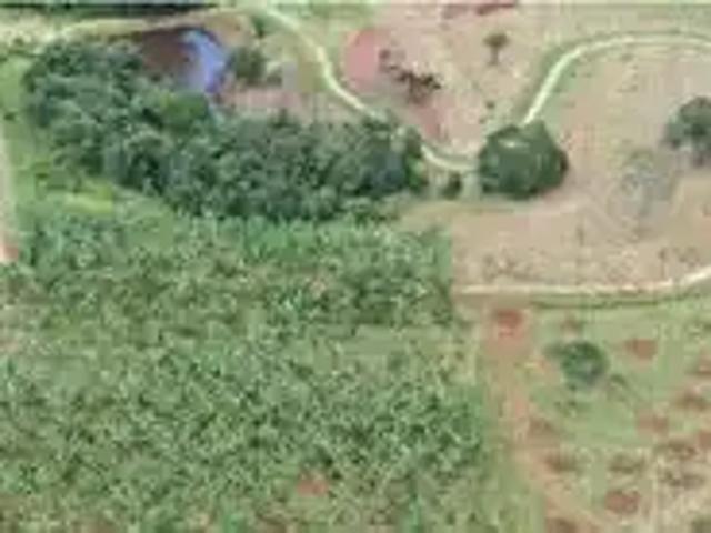 Terreno / Lote para Venda em Santo Antônio de Goiás/GO Zona Rural