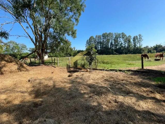 Terreno / Lote para Venda em Santo Antônio de Posse/SP Pirapitingui