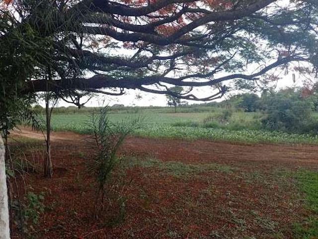Terreno / Lote para Venda em Santo Antônio de Posse/SP Zona Rural