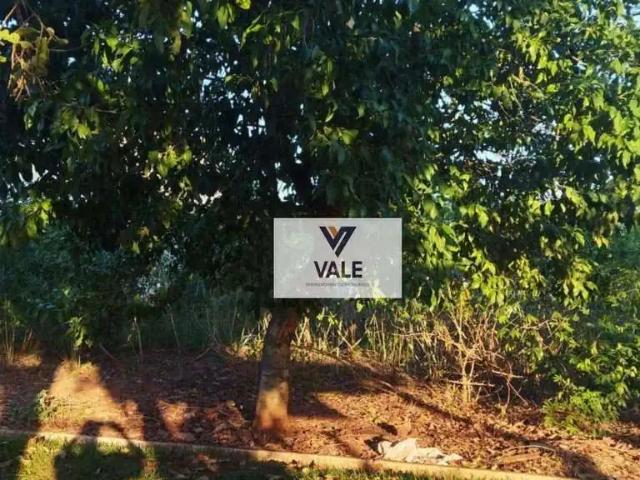Terreno / Lote para Venda em Santo Antônio do Aracanguá/SP Zona Rural