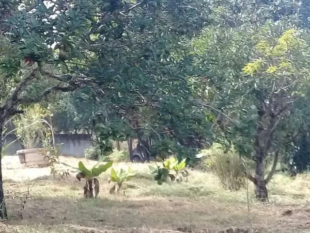 Terreno / Lote para Venda em Santo Antônio Do Leite/MG Gouveia