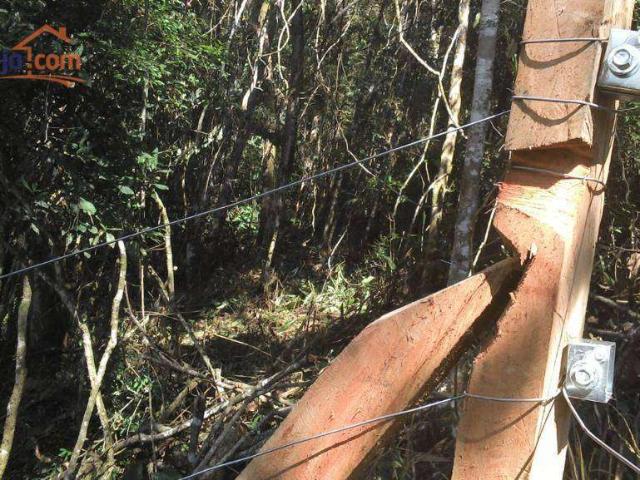Terreno / Lote para Venda em Santo Antônio do Pinhal/SP Centro