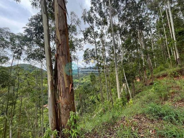 Terreno / Lote para Venda em Santo Antônio do Pinhal/SP Centro