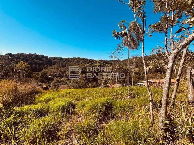 Terreno / Lote para Venda em Santo Antônio do Pinhal/SP Centro