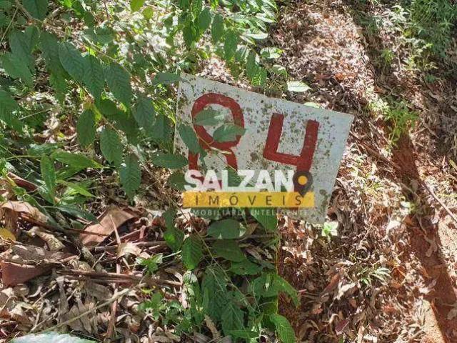 Terreno / Lote para Venda em Santo Antônio do Pinhal/SP Rio Preto