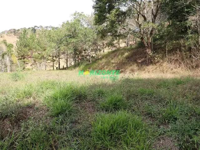 Terreno / Lote para Venda em Santo Antônio do Pinhal/SP Rio Preto