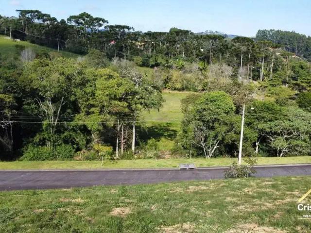 Terreno / Lote para Venda em Santo Antônio do Pinhal/SP Sertãozinho