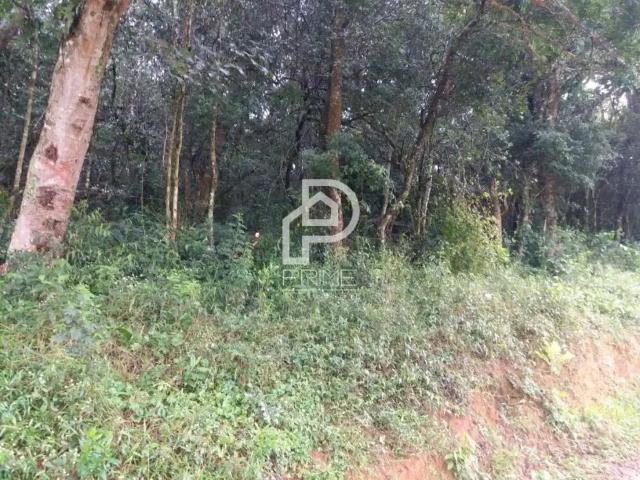 Terreno / Lote para Venda em Santo Antônio do Pinhal/SP Zona Rural