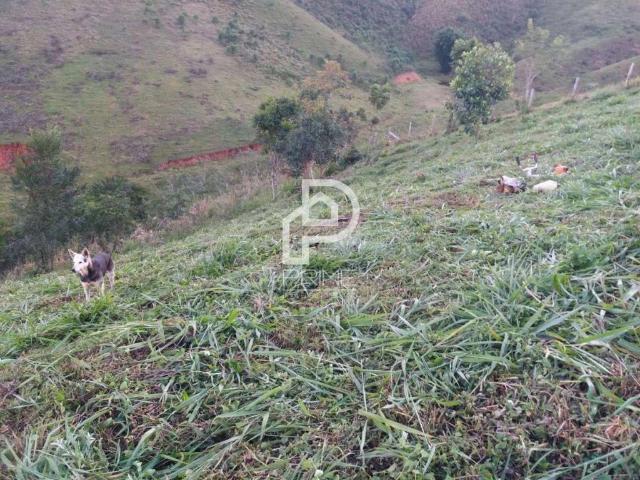 Terreno / Lote para Venda em Santo Antônio do Pinhal/SP Zona Rural