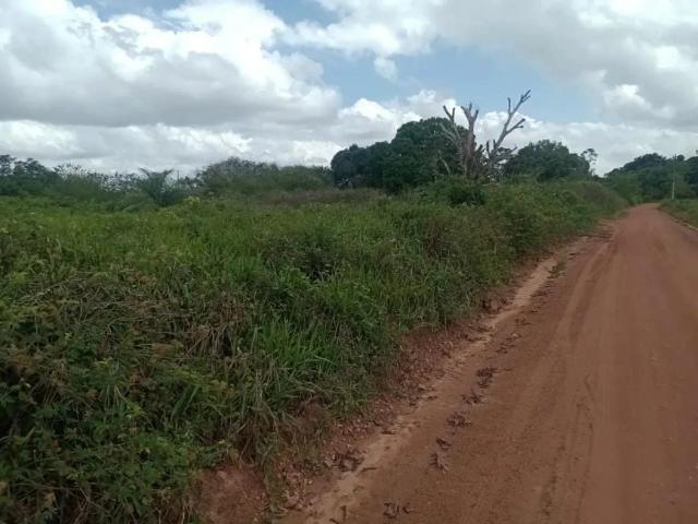Terreno / Lote para Venda em Santo Antônio do Tauá/PA Centro