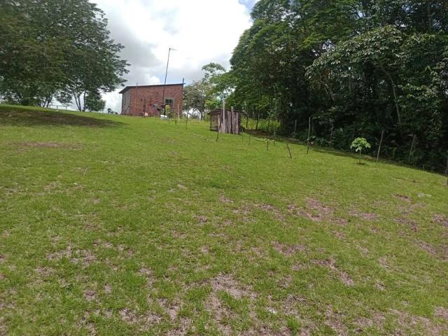 Terreno / Lote para Venda em Santo Antônio do Tauá/PA Centro