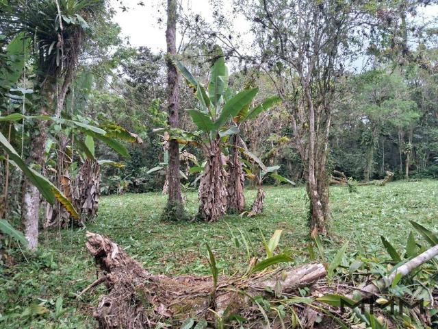 Terreno / Lote para Venda em Santos/SP Caruara