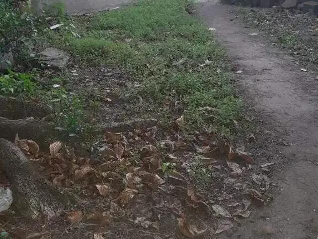 Terreno / Lote para Venda em Santos/SP Estuário
