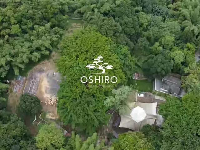 Terreno / Lote para Venda em Santos/SP Morro Nova Cintra