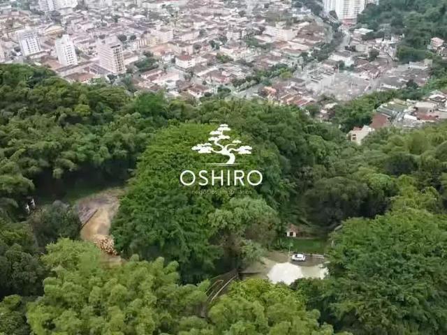 Terreno / Lote para Venda em Santos/SP Morro Nova Cintra