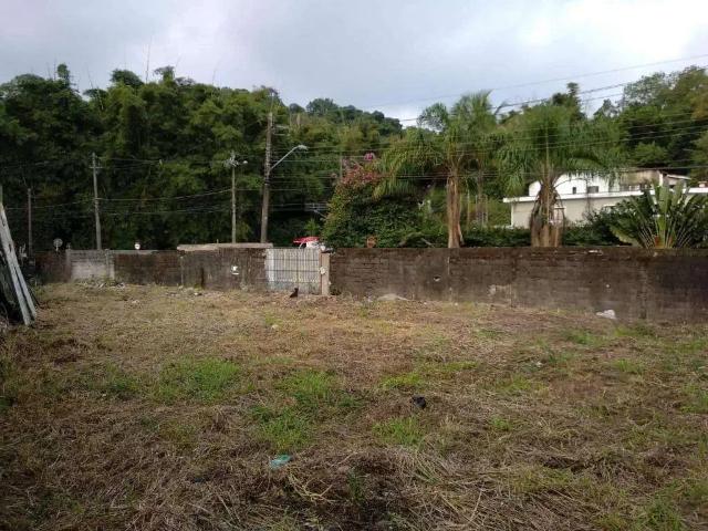 Terreno / Lote para Venda em Santos/SP Morro Nova Cintra