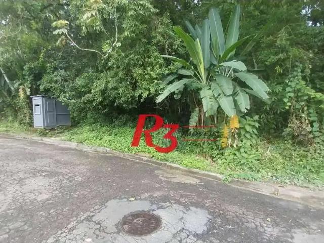 Terreno / Lote para Venda em Santos/SP Morro Nova Cintra