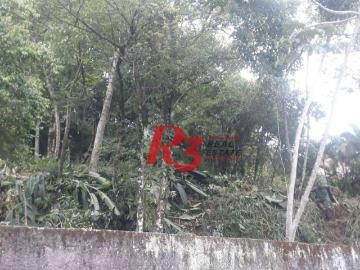 Terreno / Lote para Venda em Santos/SP Morro Nova Cintra