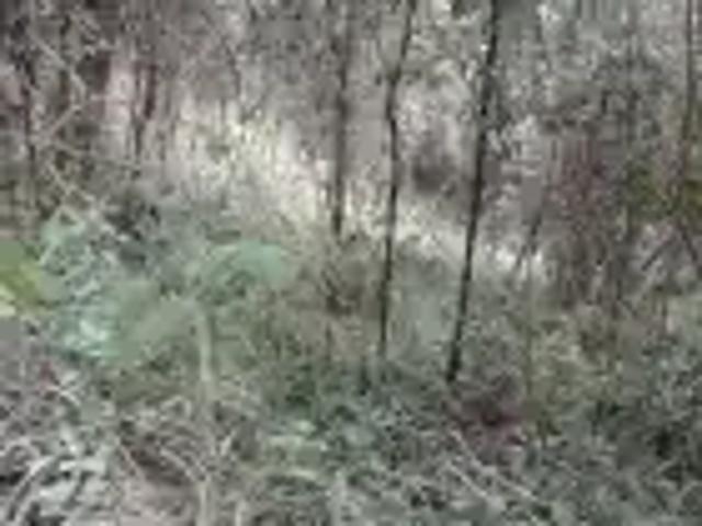 Terreno / Lote para Venda em Sabará/MG Área Rural de Sabará