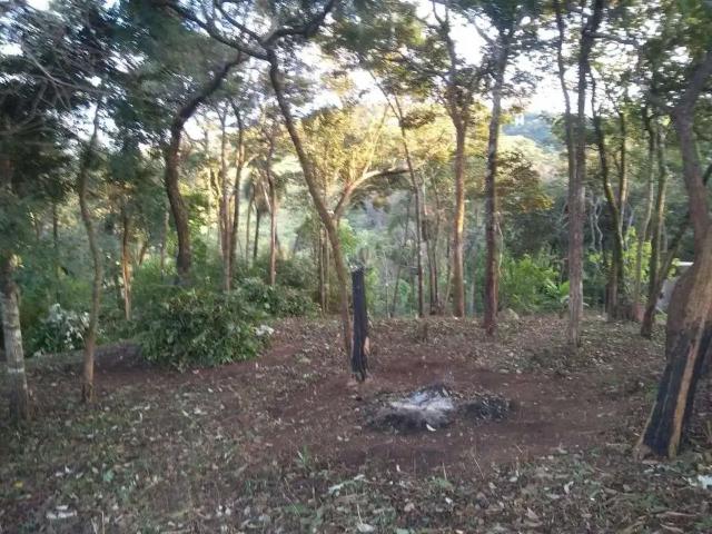 Terreno / Lote para Venda em Sabará/MG Ravena