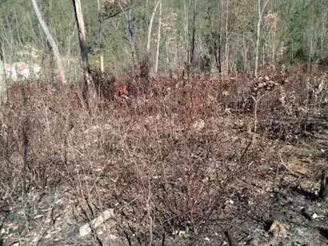 Terreno / Lote para Venda em Sabará/MG Serranos