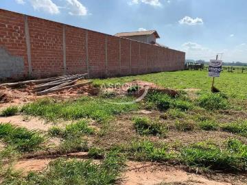 Terreno / Lote para Venda em Saltinho/SP Mato Alto