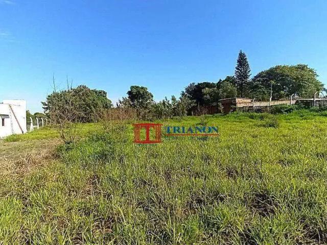 Terreno / Lote para Venda em Saltinho/SP Mato Alto