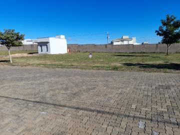 Terreno / Lote para Venda em Saltinho/SP Mato Alto