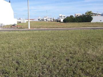 Terreno / Lote para Venda em Saltinho/SP Nossa Senhora Aparecida