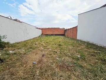 Terreno / Lote para Venda em Saltinho/SP Nossa Senhora Aparecida