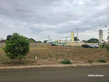 Terreno / Lote para Venda em Saltinho/SP Nossa Senhora Aparecida