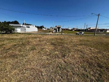Terreno / Lote para Venda em Saltinho/SP Nova Saltinho