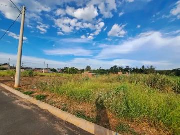 Terreno / Lote para Venda em Saltinho/SP Nova Saltinho