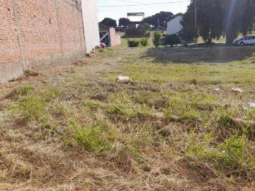 Terreno / Lote para Venda em Saltinho/SP Centro